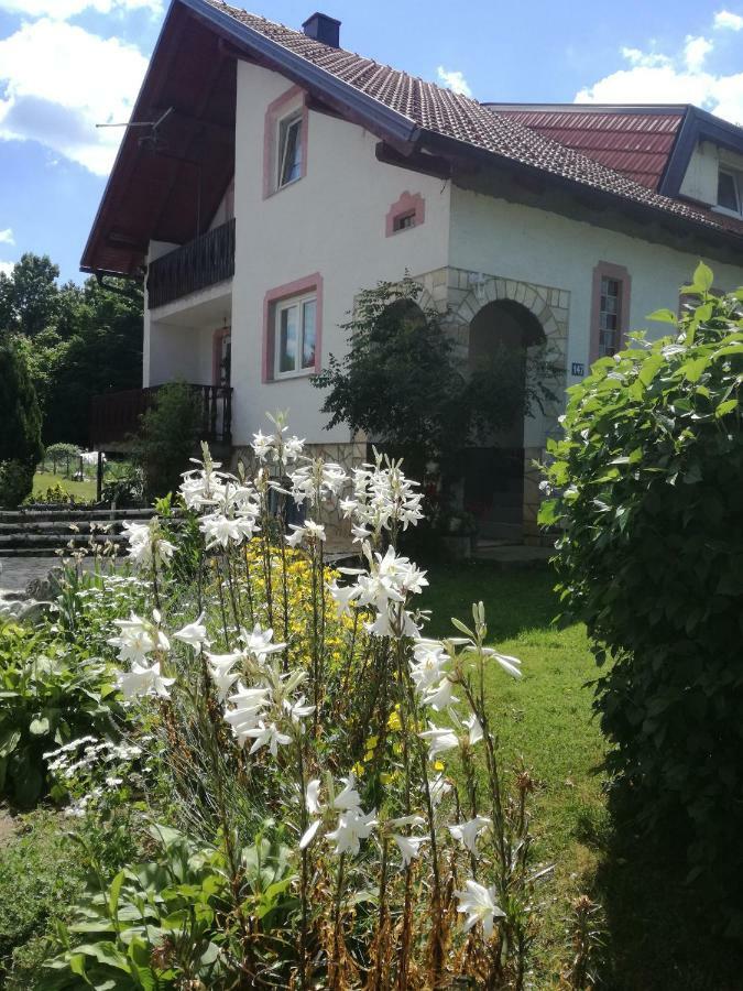 Apartman Jasmin Čatrnja Exterior foto
